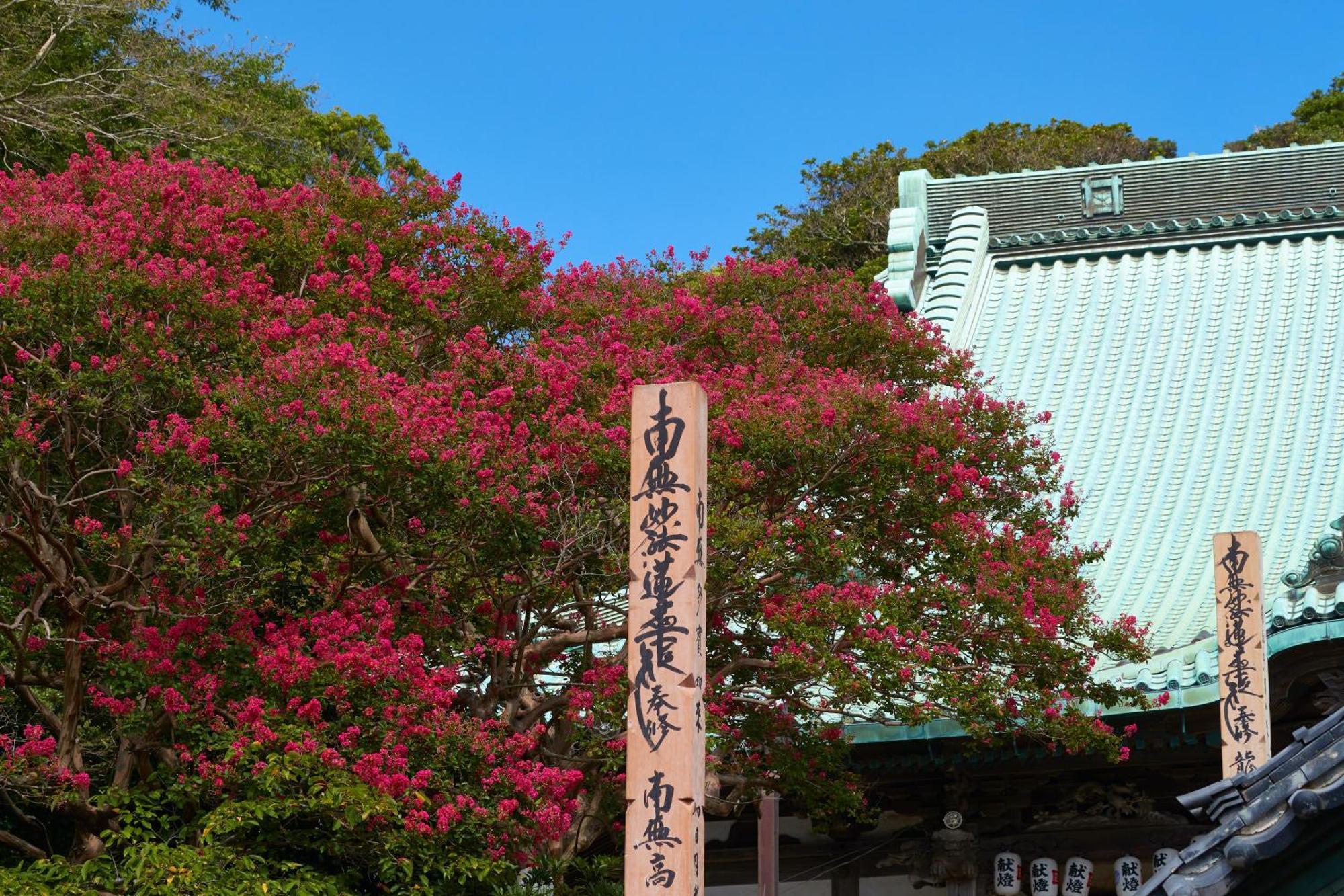 Kamakura Hotel Esterno foto