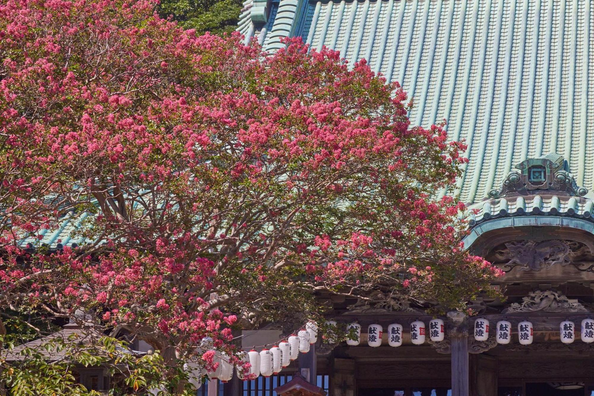 Kamakura Hotel Esterno foto